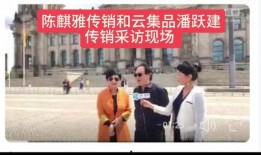 爆料访谈视频大全最新,最新爆料视频大全深度解析